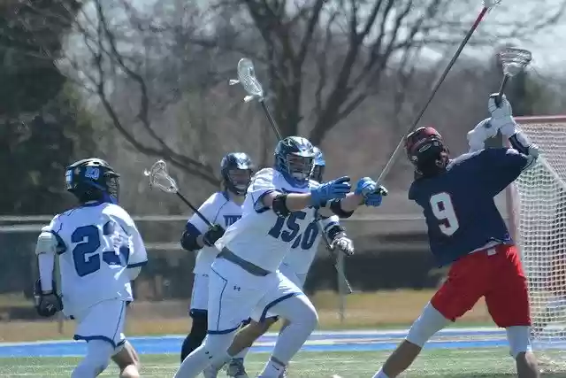 Free download Sports Lacrosse -  free photo or picture to be edited with GIMP online image editor