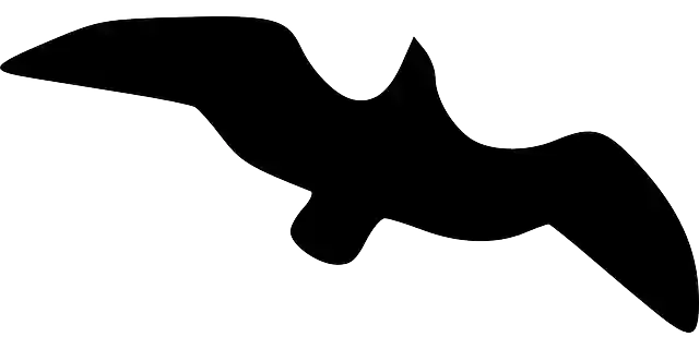 Free download Spread Silhouette High - Free vector graphic on Pixabay free illustration to be edited with GIMP free online image editor