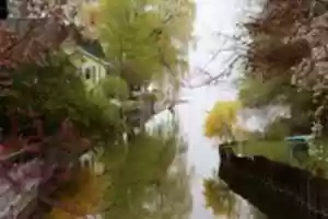 Free download Spring Beauty free photo or picture to be edited with GIMP online image editor