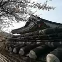Spring Blossoms Over a Palace Wall  screen for extension Chrome web store in OffiDocs Chromium