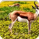 Springbok  screen for extension Chrome web store in OffiDocs Chromium