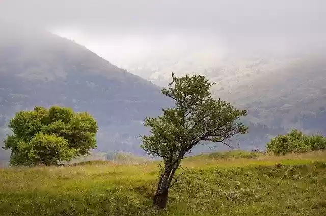 تنزيل مجاني لغيوم ضباب الربيع ، صورة خالية من العشب الخفيف الناعم ليتم تحريرها باستخدام محرر الصور المجاني على الإنترنت GIMP