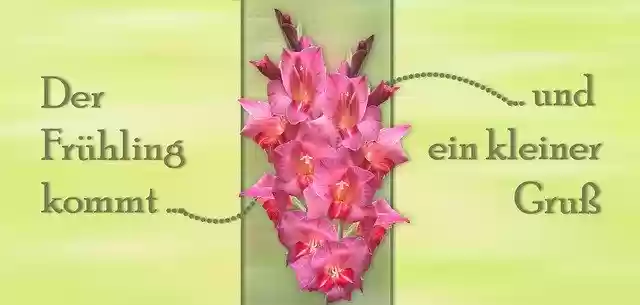 Free download Spring Is Coming Nature -  free illustration to be edited with GIMP free online image editor