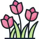 OffiDocs Chromium'daki Chrome web mağazası uzantısı için Spring Radiance ekranı OffiDocs Chromium'daki Chrome web mağazası uzantısı için Spring Radiance ekranı