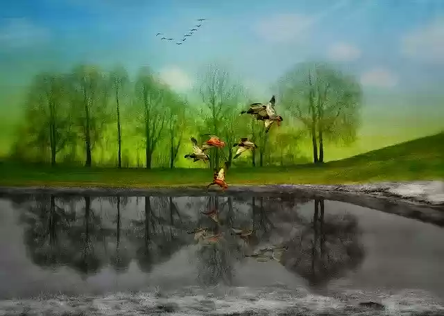 Free download Spring Stand By Dreams -  free illustration to be edited with GIMP free online image editor