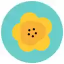 Spring White Flower  screen for extension Chrome web store in OffiDocs Chromium