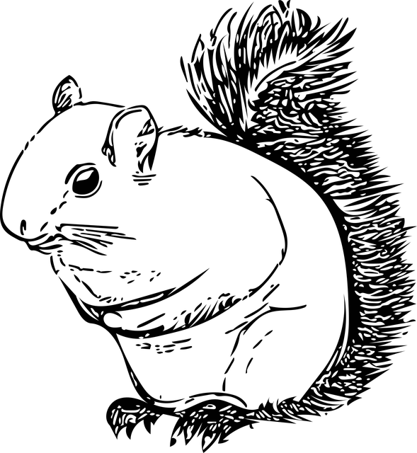 Free download Squirrel Animal Rodent - Free vector graphic on Pixabay free illustration to be edited with GIMP free online image editor