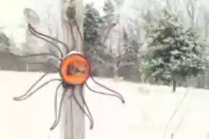 Free download Ss Garden Sun free photo or picture to be edited with GIMP online image editor