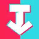 SSS TikTok Downloader  screen for extension Chrome web store in OffiDocs Chromium
