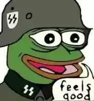 Free download SS Waffen Pepe free photo or picture to be edited with GIMP online image editor