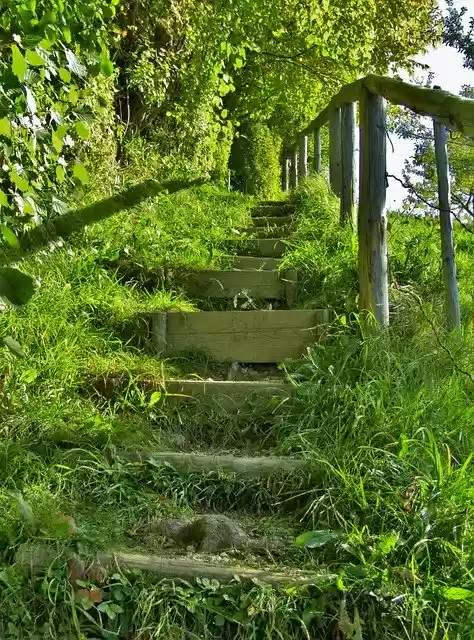 Free download Stairs Upward Gradually -  free free photo or picture to be edited with GIMP online image editor