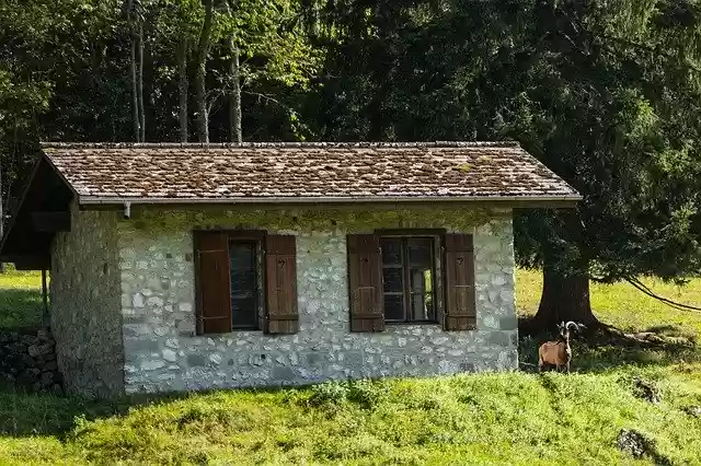 Free download Stall Billy Goat Horn -  free photo or picture to be edited with GIMP online image editor