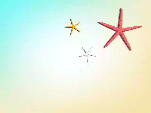 Free download Star Sea Beach -  free illustration to be edited with GIMP free online image editor