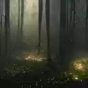 Stars fall in the night  screen for extension Chrome web store in OffiDocs Chromium