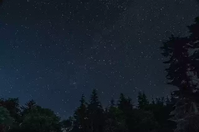 Free download Stars Forest Night -  free photo or picture to be edited with GIMP online image editor