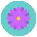 Star Wars: The Last Jedi HD  screen for extension Chrome web store in OffiDocs Chromium