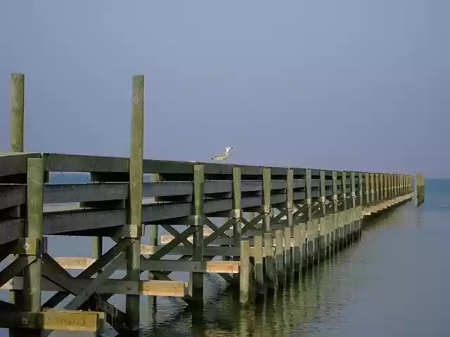 Free download Steeg Water Seagull -  free photo template to be edited with GIMP online image editor