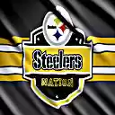 Steelers  screen for extension Chrome web store in OffiDocs Chromium