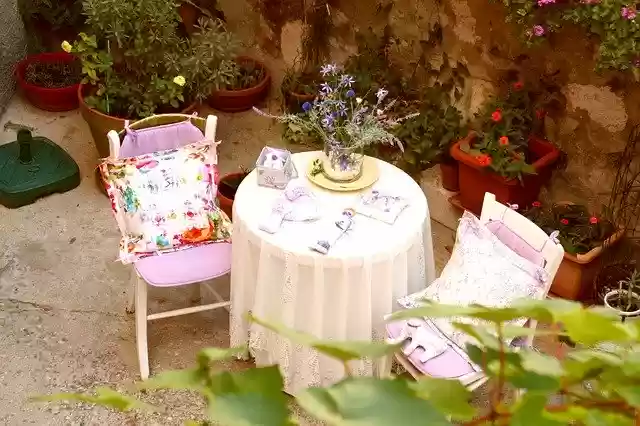 Free download Still Life Rest Nature -  free photo or picture to be edited with GIMP online image editor