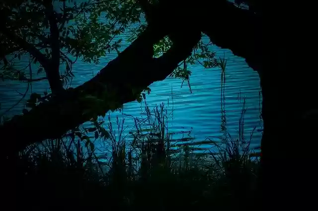 Free download Still Life Water Surface -  free photo or picture to be edited with GIMP online image editor