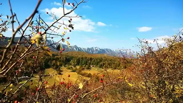 Free download Stol Serbia Tourism free photo template to be edited with GIMP online image editor