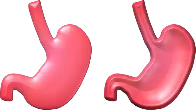 Free download Stomach Health Empty -  free illustration to be edited with GIMP free online image editor