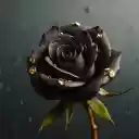 Stone encrusted roses  screen for extension Chrome web store in OffiDocs Chromium