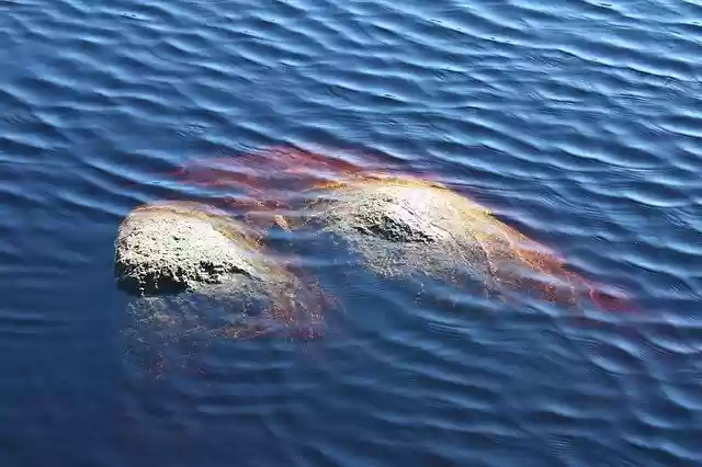 Free download Stones Sea Water -  free photo or picture to be edited with GIMP online image editor