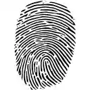 StopFingerprinting  screen for extension Chrome web store in OffiDocs Chromium