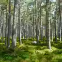 Straight pine trees  screen for extension Chrome web store in OffiDocs Chromium