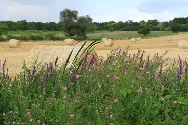 Free download Straw Bale -  free photo or picture to be edited with GIMP online image editor