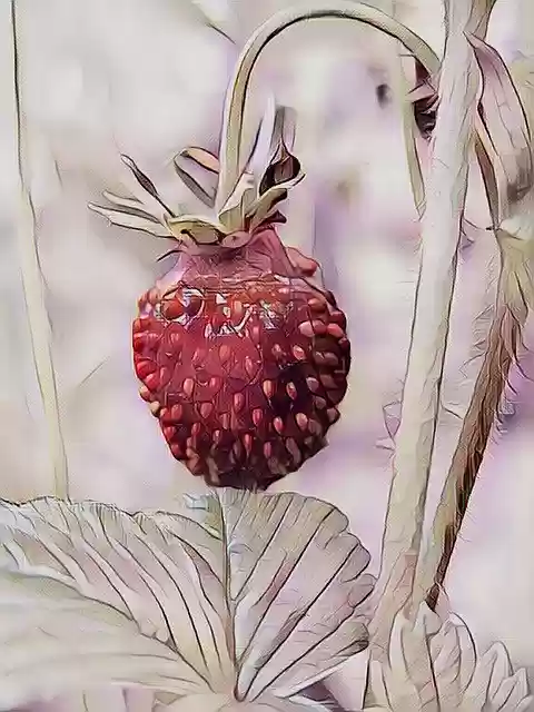 Free download Strawberry Pastel Digital Drawing -  free illustration to be edited with GIMP free online image editor