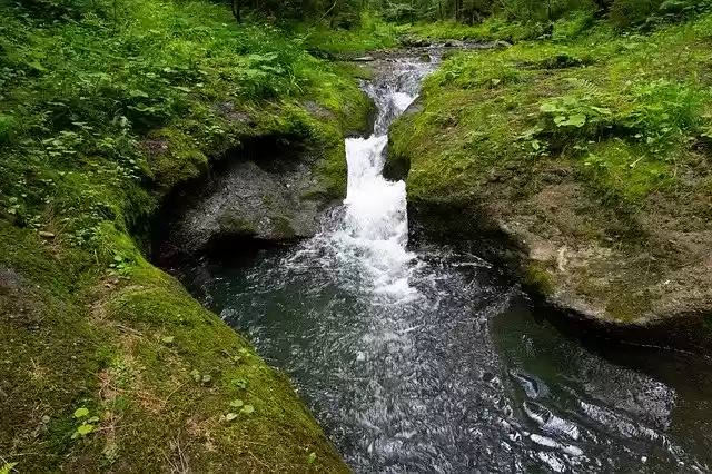 تنزيل مجاني لـ Stream Beskydy Czech Republic - صورة مجانية أو صورة يتم تحريرها باستخدام محرر الصور عبر الإنترنت GIMP