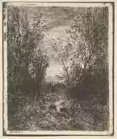 Free download Stream in a Clearing free photo or picture to be edited with GIMP online image editor