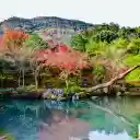 Stream in a Park in Kyoto  screen for extension Chrome web store in OffiDocs Chromium