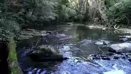 تنزيل مجاني Stream Rio Water - فيديو مجاني ليتم تحريره باستخدام محرر الفيديو عبر الإنترنت OpenShot