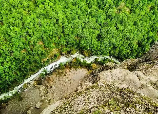 Free download Stream River Tree -  free photo or picture to be edited with GIMP online image editor