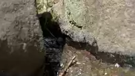 Free download Streams Valley Nature The -  free video to be edited with OpenShot online video editor