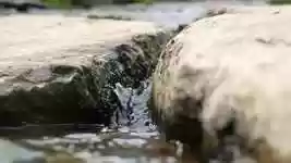 Free download Streams Water Nature The -  free video to be edited with OpenShot online video editor