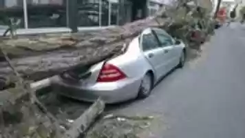 Free download Stress auto insurance free photo or picture to be edited with GIMP online image editor