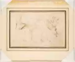 Free download Studies of a Stag free photo or picture to be edited with GIMP online image editor