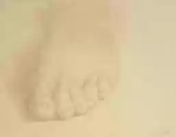 Free download Study of a Foot free photo or picture to be edited with GIMP online image editor