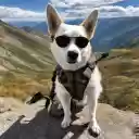 Stylish white dog  screen for extension Chrome web store in OffiDocs Chromium