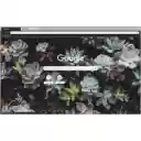 Succulent Jungle  screen for extension Chrome web store in OffiDocs Chromium