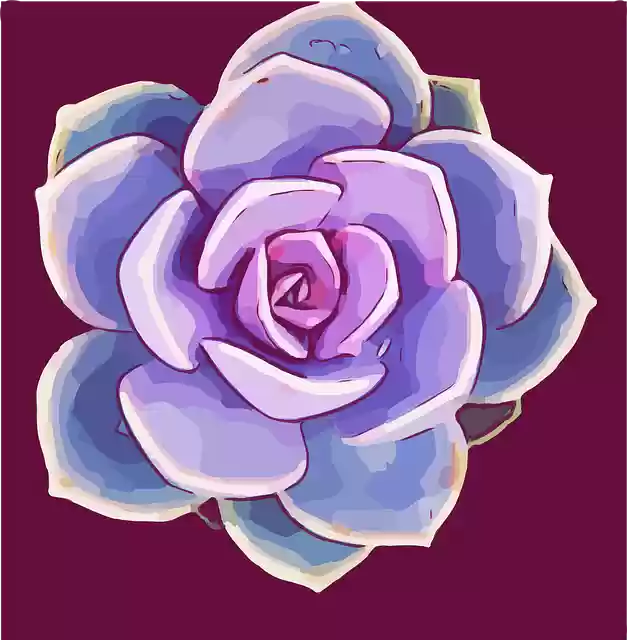 Free download Succulent Rosette Plant - Free vector graphic on Pixabay free illustration to be edited with GIMP free online image editor