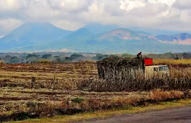 Free download sugar cane mountain truck free picture to be edited with GIMP free online image editor