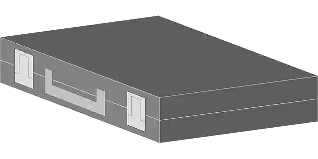 Free download Suitcase Carry Bag - Free vector graphic on Pixabay free illustration to be edited with GIMP free online image editor