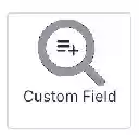Suite Projects Pro Script Custom Field Audit  screen for extension Chrome web store in OffiDocs Chromium
