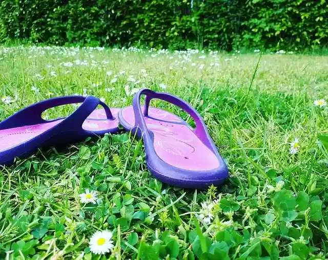 Free download Summer Flipflops Vacation -  free photo or picture to be edited with GIMP online image editor