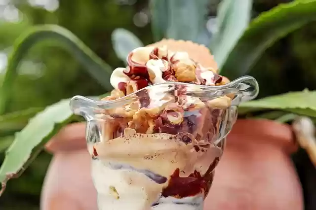 Free download sundae nut cup ice cream nuts ch free picture to be edited with GIMP free online image editor